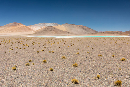 阿塔卡马沙漠智利。 萨拉阿瓜斯卡伦特斯。 图亚克托湖。 南美洲。