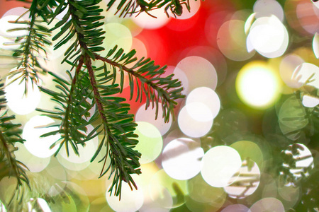 圣诞树与夜间照明节目图片
