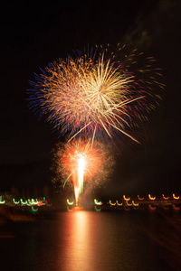 夜空下的烟花表演。