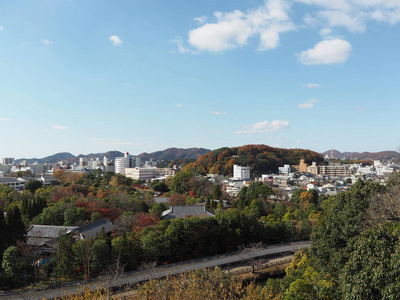 从希吉城堡俯瞰城市