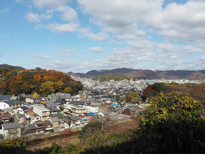 从希吉城堡俯瞰城市