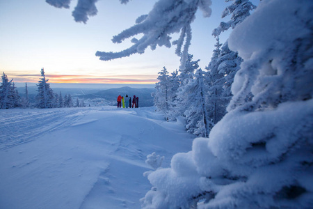 女孩小组观看日出被雪和冷杉树, 山包围