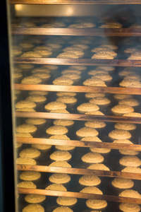 糖果厂的现代面包店。用于烘焙饼干蛋糕和饼干的工业烤箱。