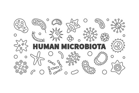 人类微生物群矢量轮廓水平例证