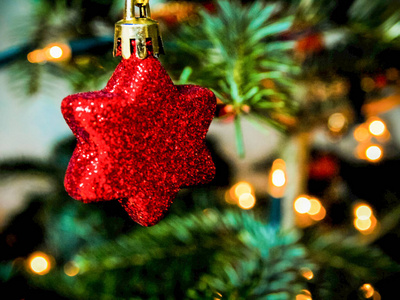 星星形状的圣诞装饰在一棵树上，有白光。