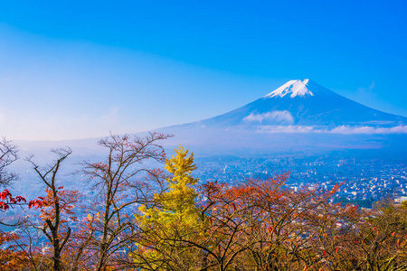 日本大林秋季枫叶树四周美丽的富士山景观，白云蓝天