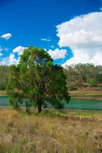 澳大利亚昆士兰布里斯班市附近的池塘。 澳大利亚是一个位于地球南部的大陆。
