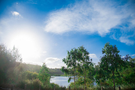 澳大利亚昆士兰布里斯班市附近的池塘。 澳大利亚是一个位于地球南部的大陆。