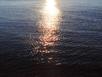 靠近海滩的水面海浪和环