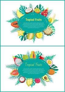热带水果横幅与异国情调的食物椭圆形框架