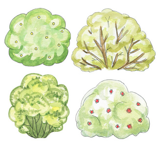 手绘灌木丛一组四种灌木丛隔离在白色背景上. 水彩手绘插图照片