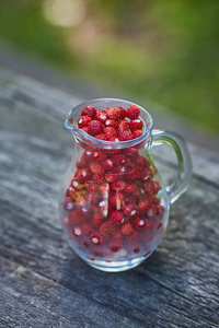森林草莓聚集在夏天从森林中采摘的罐子里