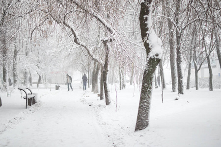 冬天的城市公园。 人行道和长凳上覆盖着雪。 降雪后的城镇娱乐区。 冬季天气预报。 暴风雪和暴风雪。