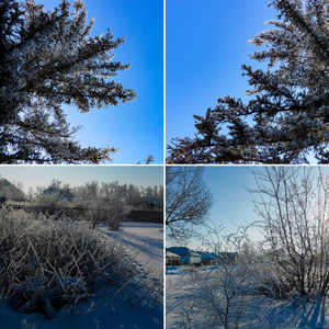 成群结队的雪洒在晴朗的蓝天上。 冬季兰兰