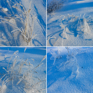 寂寞的灌木丛对雪场。 冬季景观