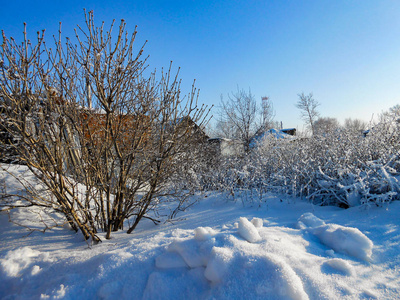 一个冬天晴朗的一天，一个乡村景观，一个覆盖着雪的乡村花园。 冻结的树枝。 在背景中可以看到小房子。