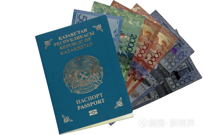 哈萨克斯坦护照图片