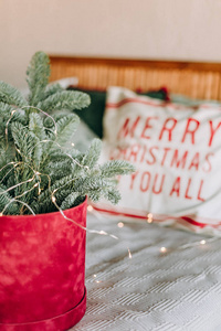 带有礼品盒和松针的绿色棕色米色圣诞派对的乡村客房装饰