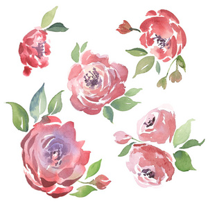 水彩浪漫的一套简单的红色玫瑰隔离在白色背景上。 卡片和婚礼插图