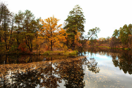 美丽的秋天景观与湖泊