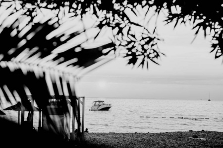 日落时船离海岸。 通过棕榈叶查看。 黑白图像。