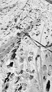 沥青的质地雪融化路面的痕迹图片
