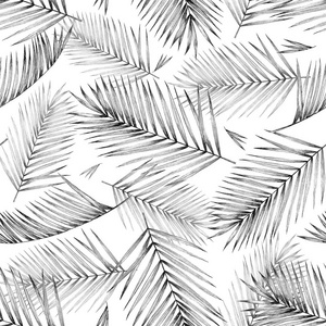 白色背景上热带棕榈叶的无缝图案。 时尚插图