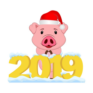 新年快乐 猪的一年。 2019