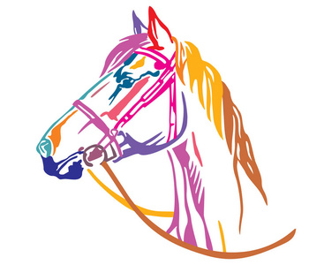 五颜六色的装饰肖像在美丽的马的缰绳与长鬃牛矢量插图在不同的颜色隔离在白色背景。 用于设计和纹身的图像。