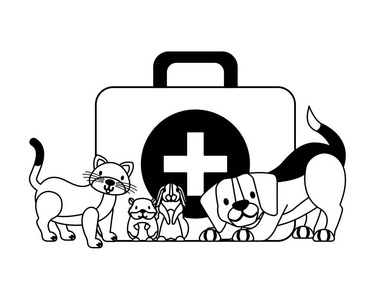 急救箱猫兔仓鼠兽医宠物护理矢量插图