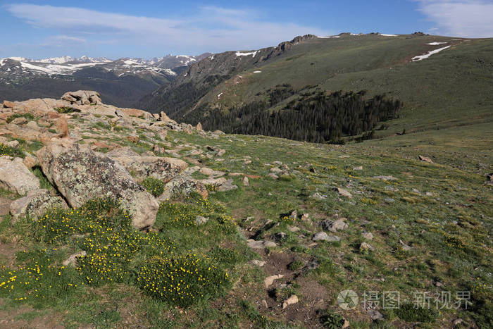高山冻原从科罗拉多州落基山国家公园的小径山脊路上射出.