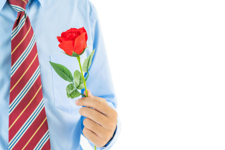 特写照片男人手捧红玫瑰在白色背景上