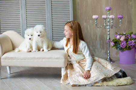 姜发女孩与哈士奇嬉戏的肖像。模特儿穿着可爱的连衣裙坐在靠近沙发的木地板上，一头红发摆在摄影棚里，和萨米的白小狗一起拍摄