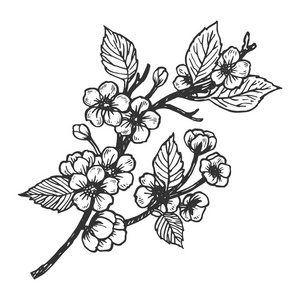 樱花雕刻向量例证.划痕板式模仿.手绘图像照片