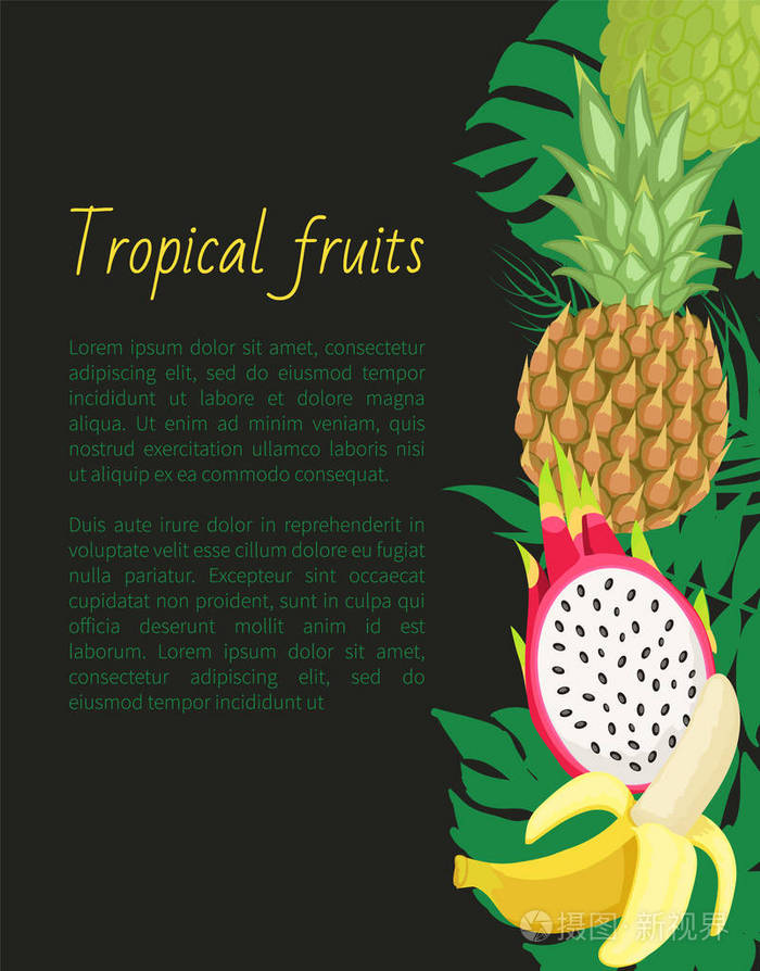 热带水果横幅与异国情调的食物和叶子