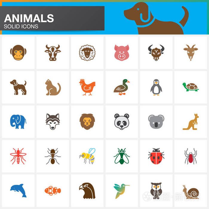 各种动物符号图案图片