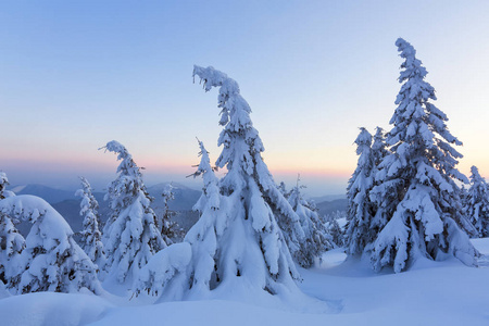美丽的森林和田野里山高的奇妙的冬季日出。 旅游风景。 神奇的冬季背景传单。 喀尔巴阡山脉乌克兰欧洲的位置。