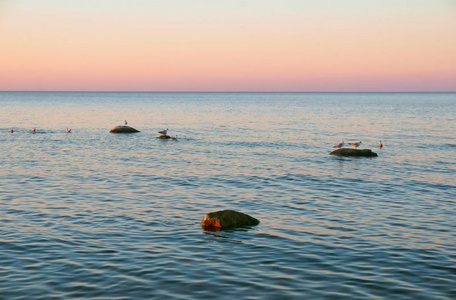 平静的大海和海鸥，夕阳和平静的大海