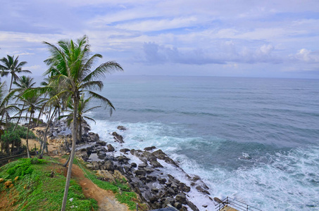 斯里兰卡印度洋沿岸的棕榈树景观