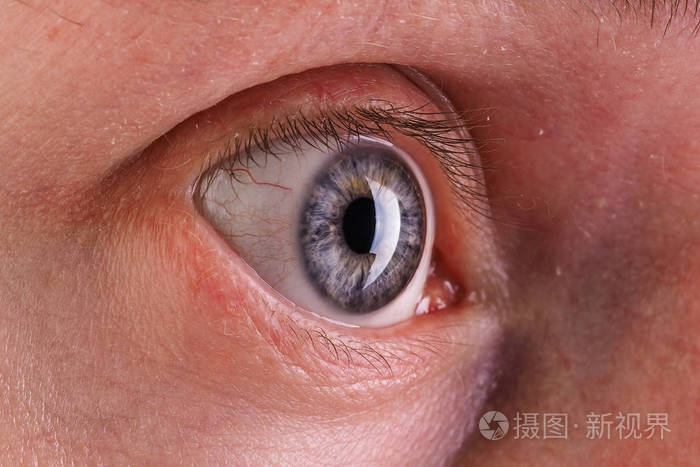 人眼虹膜瞳孔眼睫毛眼盖子的宏观照片