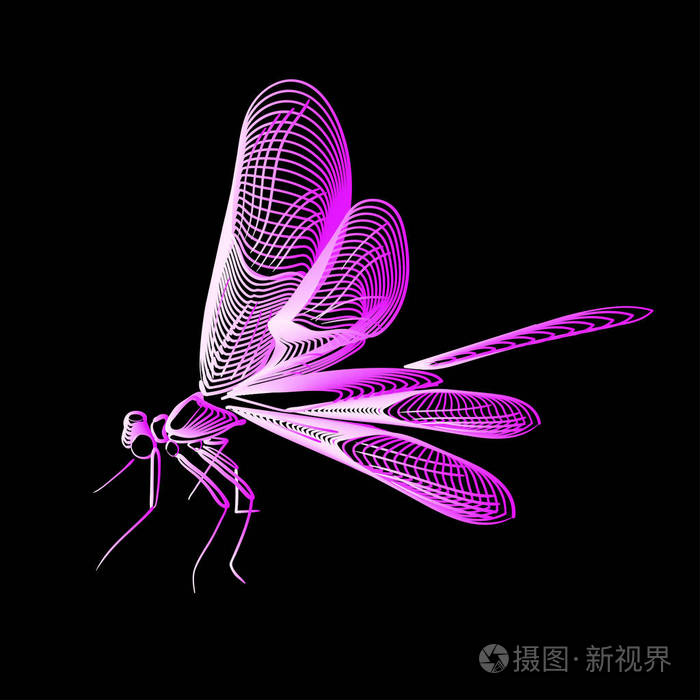 摘要线艺术蜻蜓被隔绝的向量例证