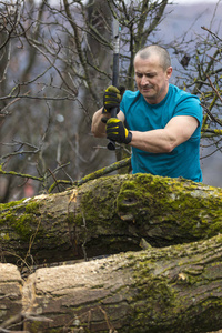伐木工人砍倒了一棵树，用大斧头在森林里折断了许多碎片。