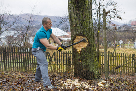 伐木工人砍倒了一棵树，用大斧头在森林里折断了许多碎片。