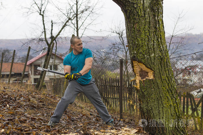伐木工人砍倒了一棵树用大斧头在森林里折断了许多碎片