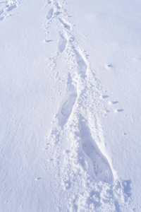 足迹和手在雪上的纹理背景