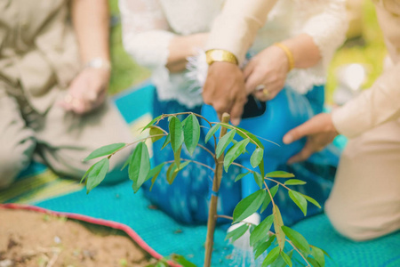 省长和他的妻子一起植树纪念这段记忆。