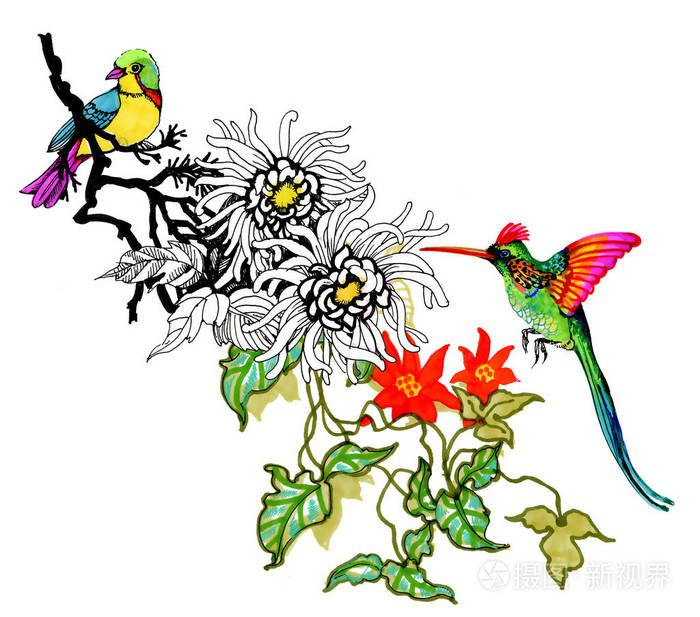 水彩画鸟在树枝上用花孤立的手绘插图