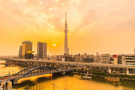 东京市美丽的建筑，日出时有东京天空之树