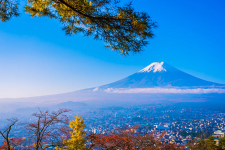 日本大林秋季枫叶树四周美丽的富士山景观，白云蓝天