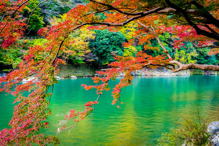 相向而行秋季日本京都,美丽的山河,有枫叶树和船绕湖而行照片